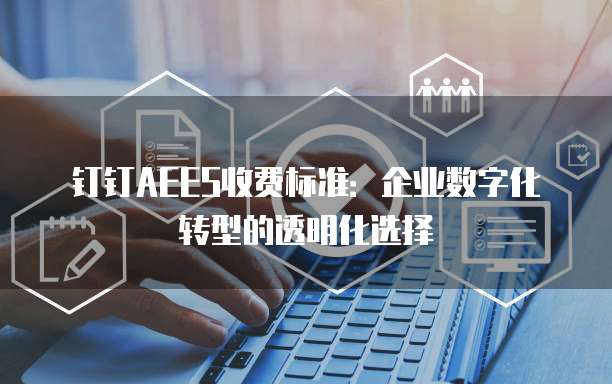 钉钉AEES收费标准：企业数字化转型的透明化选择