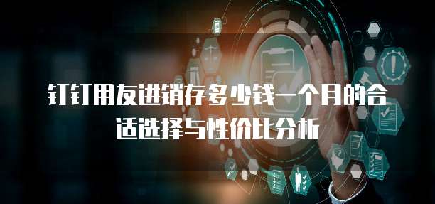 钉钉用友进销存多少钱一个月的合适选择与性价比分析