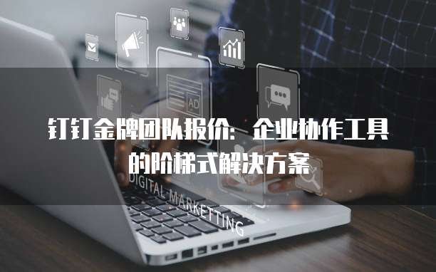 钉钉金牌团队报价:企业协作工具的阶梯式解决方案