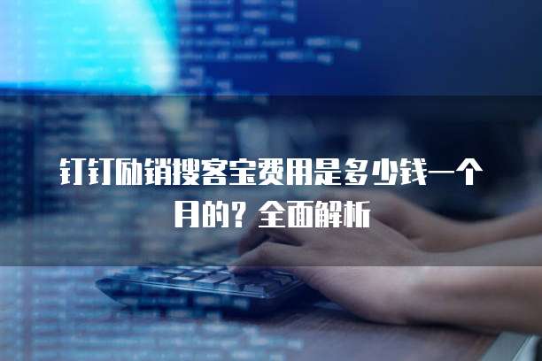 钉钉励销搜客宝费用是多少钱一个月的?全面解析
