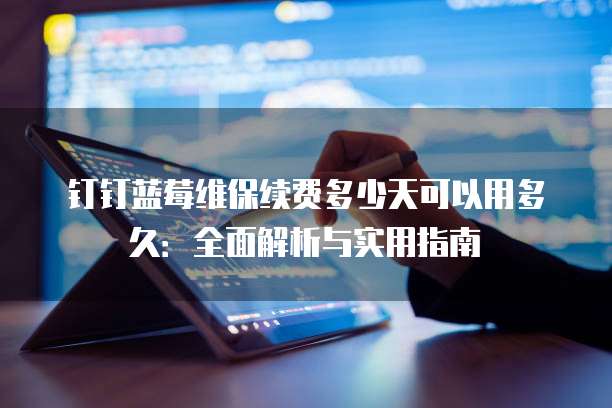 钉钉蓝莓维保续费多少天可以用多久:全面解析与实用指南