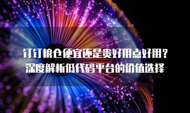 钉钉粮仓便宜还是贵好用点好用？深度解析低代码平台的价值选择