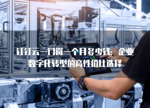 钉钉云一门岗一个月多少钱:企业数字化转型的高性价比选择