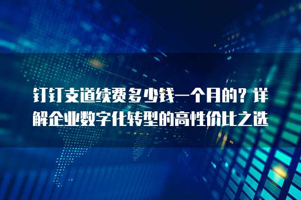 钉钉支道续费多少钱一个月的？详解企业数字化转型的高性价比之选