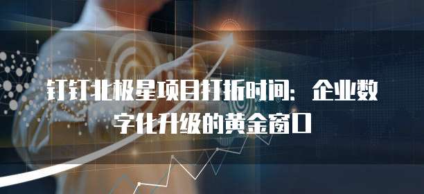 钉钉北极星项目打折时间:企业数字化升级的黄金窗口