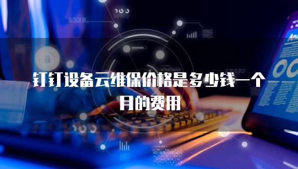 钉钉设备云维保价格是多少钱一个月的费用