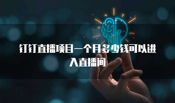 钉钉直播项目一个月多少钱可以进入直播间