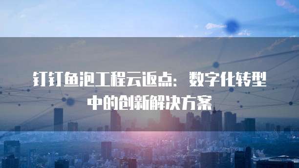 钉钉鱼泡工程云返点:数字化转型中的创新解决方案