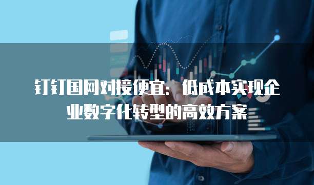 钉钉国网对接便宜：低成本实现企业数字化转型的高效方案