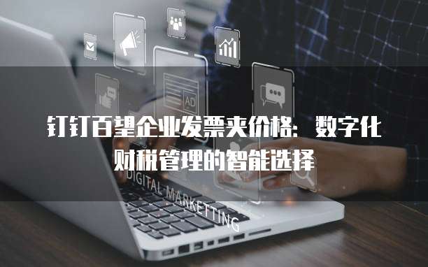 钉钉百望企业发票夹价格：数字化财税管理的智能选择