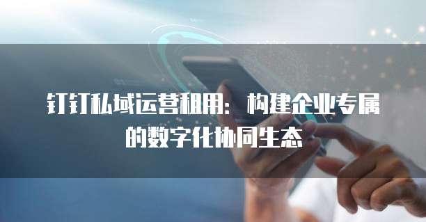 钉钉私域运营租用:构建企业专属的数字化协同生态