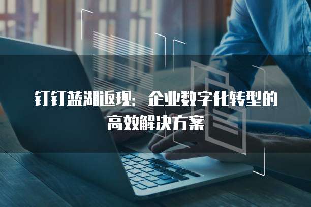 钉钉蓝湖返现:企业数字化转型的高效解决方案