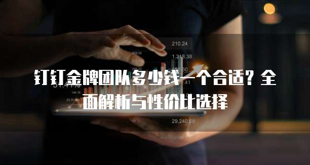 钉钉金牌团队多少钱一个合适？全面解析与性价比选择