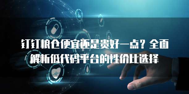 钉钉粮仓便宜还是贵好一点?全面解析低代码平台的性价比选择