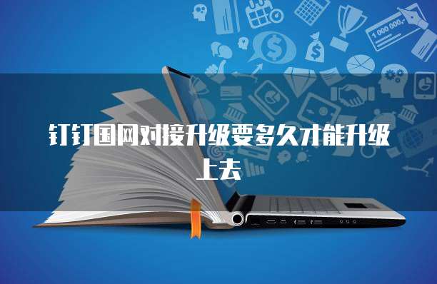 钉钉国网对接升级要多久才能升级上去