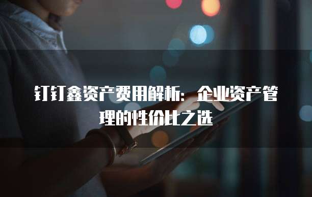 钉钉鑫资产费用解析：企业资产管理的性价比之选