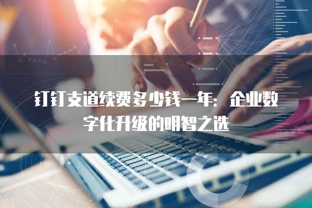 钉钉支道续费多少钱一年:企业数字化升级的明智之选
