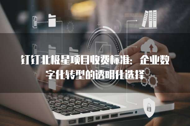 钉钉北极星项目收费标准:企业数字化转型的透明化选择