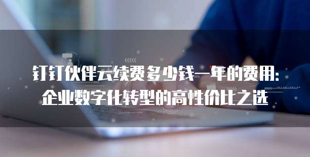 钉钉伙伴云续费多少钱一年的费用:企业数字化转型的高性价比之选