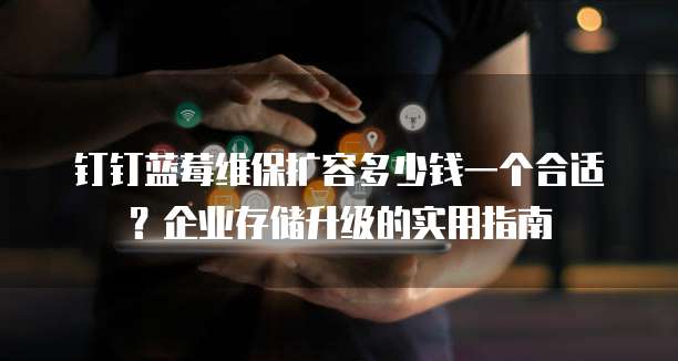 钉钉蓝莓维保扩容多少钱一个合适？企业存储升级的实用指南