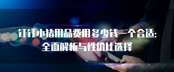 钉钉小猪用品费用多少钱一个合适:全面解析与性价比选择