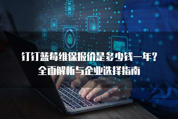 钉钉蓝莓维保报价是多少钱一年？全面解析与企业选择指南