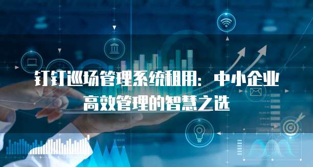 钉钉巡场管理系统租用:中小企业高效管理的智慧之选