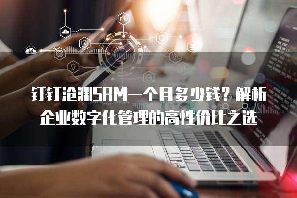 钉钉沧渊SRM一个月多少钱?解析企业数字化管理的高性价比之选