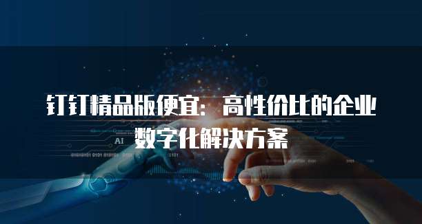钉钉精品版便宜：高性价比的企业数字化解决方案