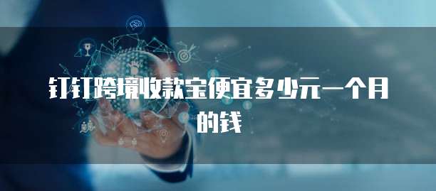 钉钉跨境收款宝便宜多少元一个月的钱
