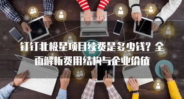 钉钉北极星项目续费是多少钱？全面解析费用结构与企业价值