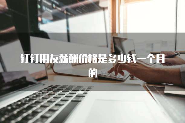 钉钉用友薪酬价格是多少钱一个月的