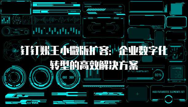 钉钉账王小微版扩容：企业数字化转型的高效解决方案