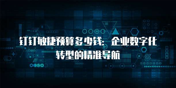 钉钉敏捷预算多少钱：企业数字化转型的精准导航