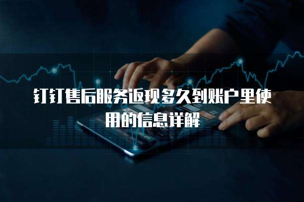 钉钉售后服务返现多久到账户里使用的信息详解