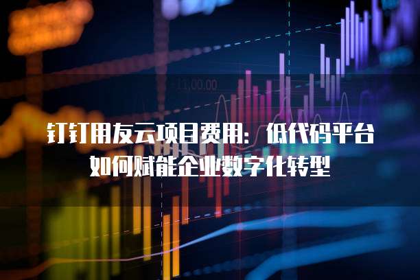 钉钉用友云项目费用：低代码平台如何赋能企业数字化转型