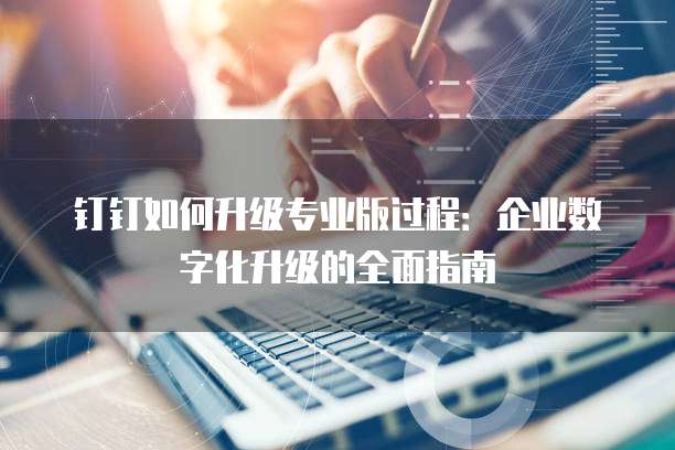 钉钉如何升级专业版过程:企业数字化升级的全面指南