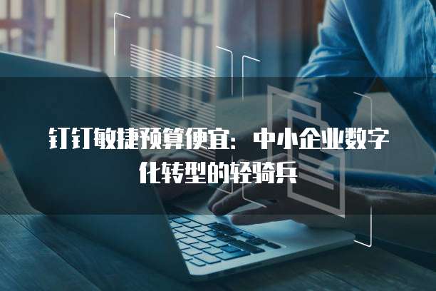 钉钉敏捷预算便宜:中小企业数字化转型的轻骑兵