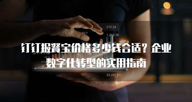 钉钉报餐宝价格多少钱合适?企业数字化转型的实用指南