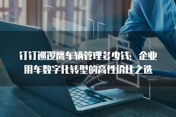 钉钉巡逻鹰车辆管理多少钱:企业用车数字化转型的高性价比之选