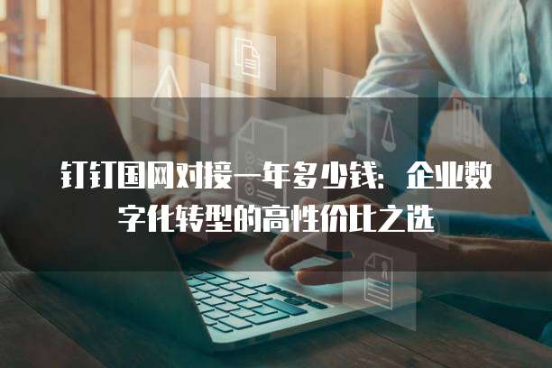 钉钉国网对接一年多少钱:企业数字化转型的高性价比之选
