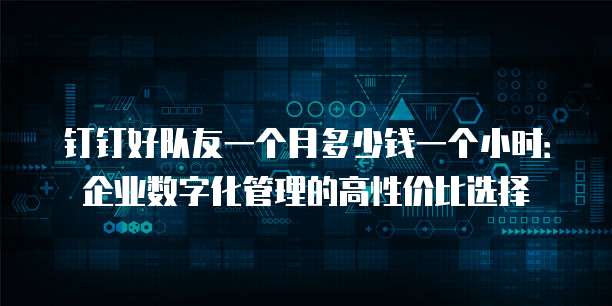 钉钉好队友一个月多少钱一个小时:企业数字化管理的高性价比选择