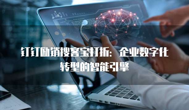 钉钉励销搜客宝打折:企业数字化转型的智能引擎