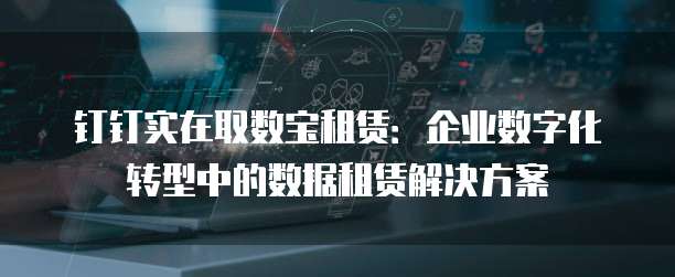 钉钉实在取数宝租赁:企业数字化转型中的数据租赁解决方案