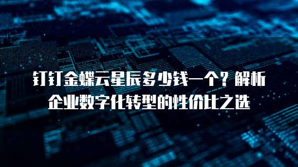 钉钉金蝶云星辰多少钱一个？解析企业数字化转型的性价比之选