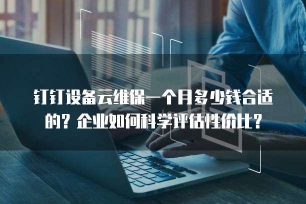 钉钉设备云维保一个月多少钱合适的?企业如何科学评估性价比?