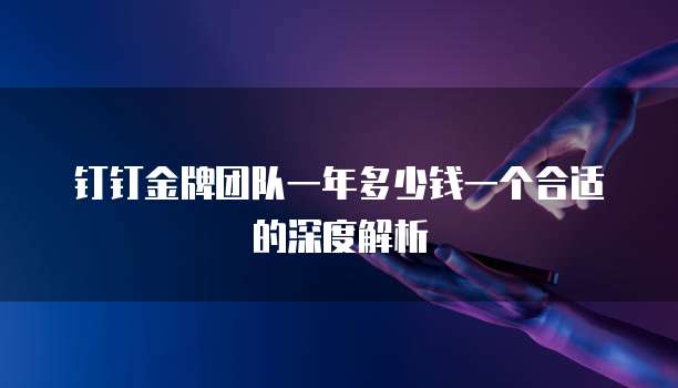 钉钉金牌团队一年多少钱一个合适的深度解析