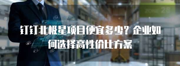 钉钉北极星项目便宜多少?企业如何选择高性价比方案