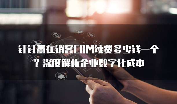 钉钉赢在销客CRM续费多少钱一个?深度解析企业数字化成本