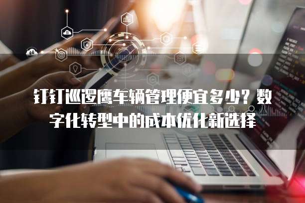 钉钉巡逻鹰车辆管理便宜多少?数字化转型中的成本优化新选择